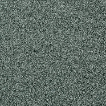 Cashmere - 441